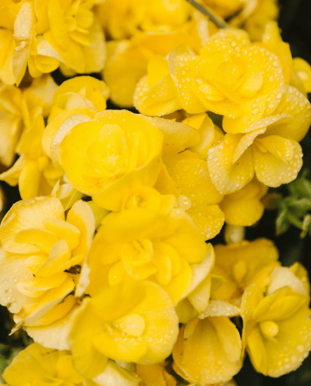 La lubrification anale : mythes et réalités - Puissante