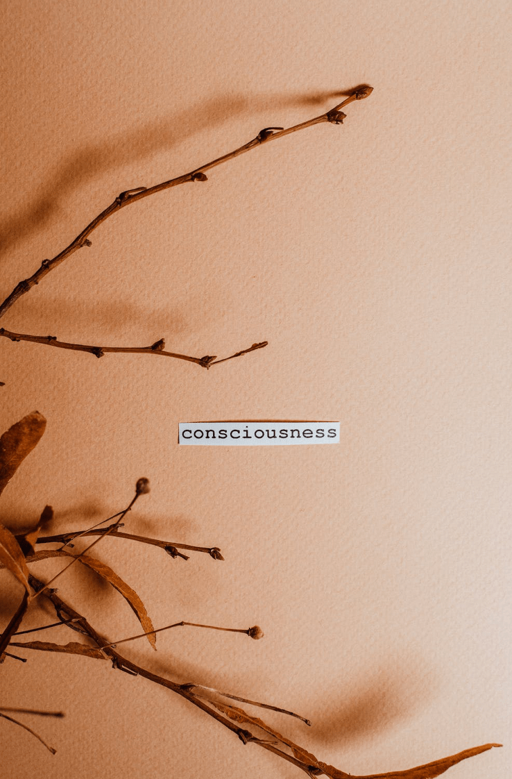 La sexualité consciente : un chemin vers l'épanouissement et l'intimité profonde pour les femmes - Puissante Image