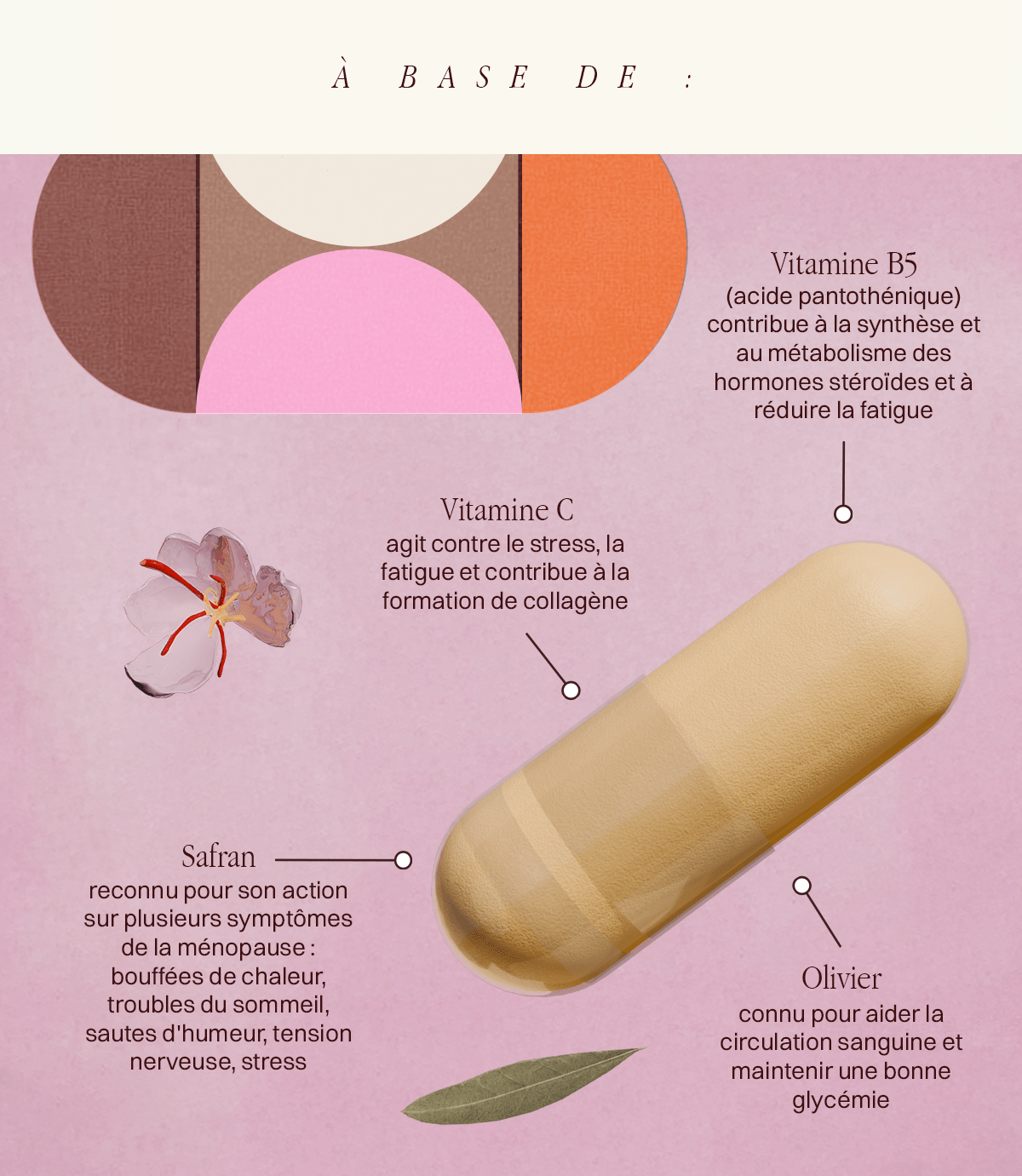 Cure Ménopause - Puissante